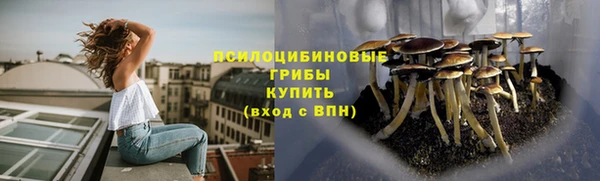 ешки Абдулино