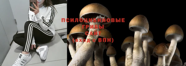 марки lsd Абаза