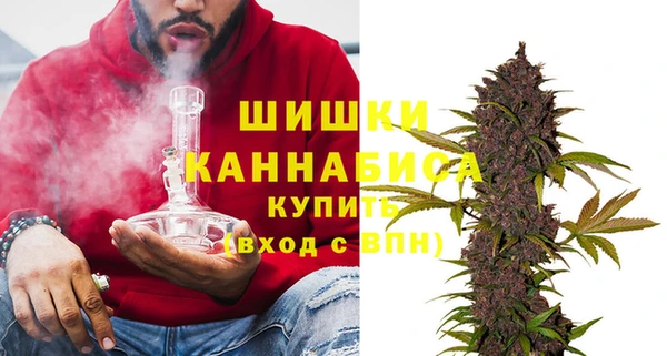 2c-b Пестово