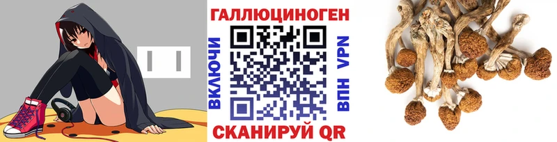 где можно купить   Тихорецк  Галлюциногенные грибы MAGIC MUSHROOMS 