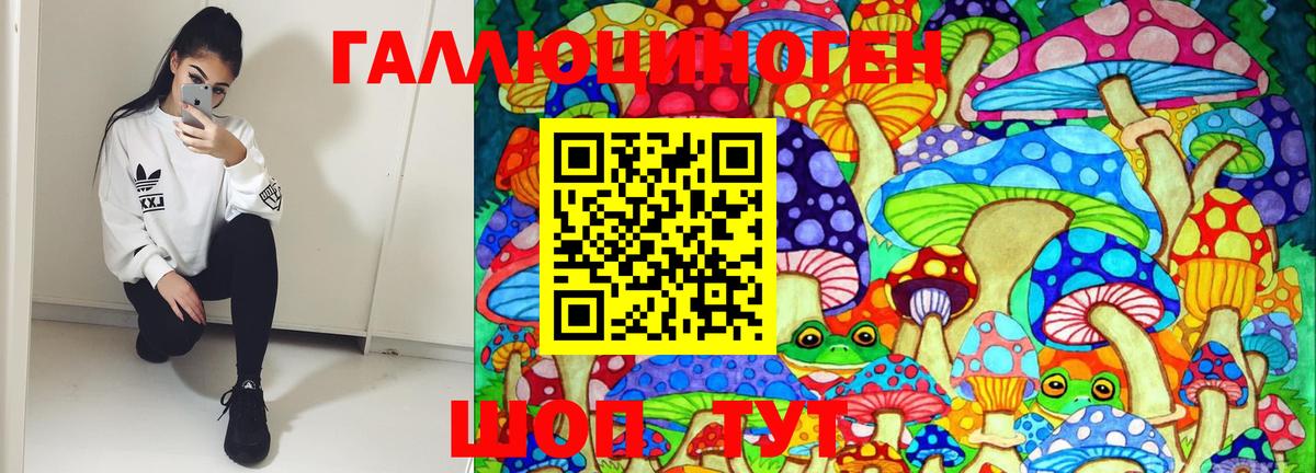 Галлюциногенные грибы ЛСД  Вход с VPN  Псилоцибиновые грибы GOLDEN TEACHER  Тихорецк 
