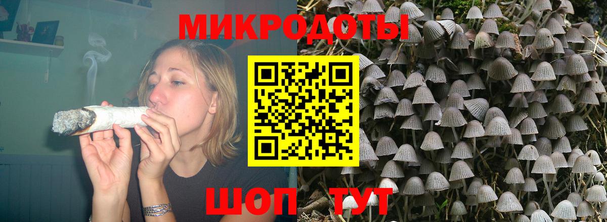Псилоцибиновые грибы Magic Shrooms Тихорецк